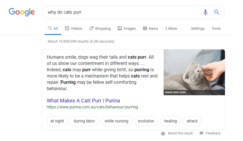 An example of a featured snippet 