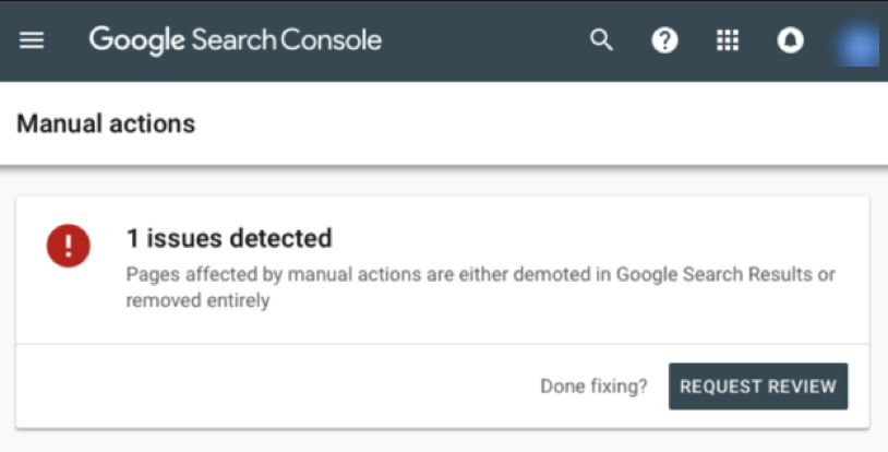 Screenshot of Request Review for Google manual action